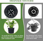 100Pcs 1 Gallon Black Nursery Pots, Soft Plastic Seedling Plant Pot with Holes, Garden Flower Seedling Pot for Indoor/Outdoor Use, Small to Medium Size