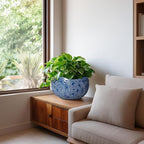 10 Inch Plant Pot - Ceramic Pots for Plants Indoor Outdoor, Round Bonsai Pots with Drainage Hole, Decorative Flower Pot, Modern Unique Planters, House Decor, Housewarming Gifts, Blue