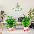 Half Round Snake Plant Support Stakes, Plant Ring for Peonies, Hydrangeas, ZZ, and More - Sturdy, Rust-Proof Plant Support Cages for Indoor and Outdoor Potted Plants (6 Pack, 14x8Inch)