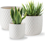 Docrin Plant Pots Indoor with Drainage: 6.4+5.3+4 Inch Ceramic Flower Pots for Plants - Set of 3 Modern Decorative Planters for House/Office/Gift - White Honeycomb