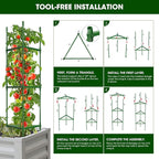 6 Pack Tomato Cages for Garden,Up to 51.2Inch Tomato Cage Trellis-Upgraded Hexagon Connector,Heavy Duty Adjustable Tomato Stake Support for Raised Garden Bed
