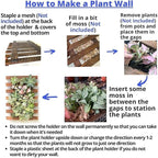 ShopLaLa Wall Planter - 2 Pack Wooden Orchid Planter Frame Display Outdoor Plants, Wall Mount Air Plants Succulent Holder Hanger, Vertical Garden Plant Wall Decor Macetas para Orquideas 15.7" (40cm)