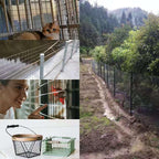 Hardware Cloth 36inx100ft 1/2 Inch 19 Gauge Galvanized After Welding Wire Cloth Fencing,Rabbit/Snake Wire mesh Roll,Chicken Wire Fencing
