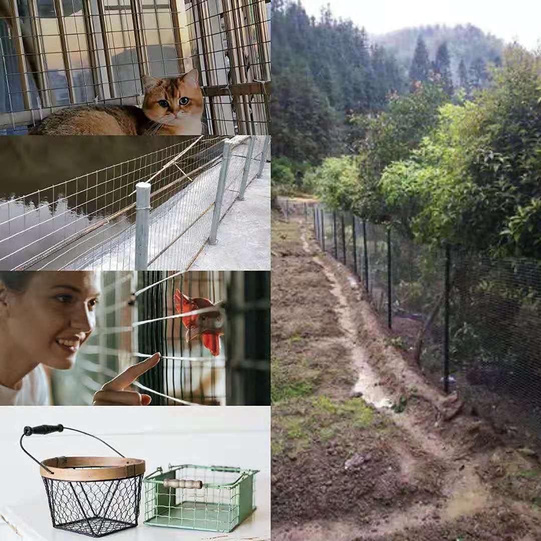 Hardware Cloth 36inx100ft 1/2 Inch 19 Gauge Galvanized After Welding Wire Cloth Fencing,Rabbit/Snake Wire mesh Roll,Chicken Wire Fencing