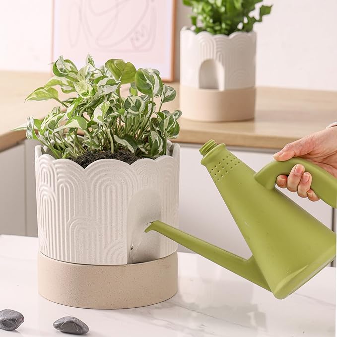 Nihow Self Watering Plant Pot for Indoor Plants : 6 Inch & 8 Inch Ceramic Planter with Drainage Hole & Water Storage - Relief Design Beige & Nature Flower Pot -Set of 2