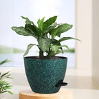 12 inch Large Self Watering Pots for Indoor Outdoor Plants, Flower Plant Pots with Mesh Drainage Holes for Garden House Plants, Plastic Planters for Home, Black with Green Speckles