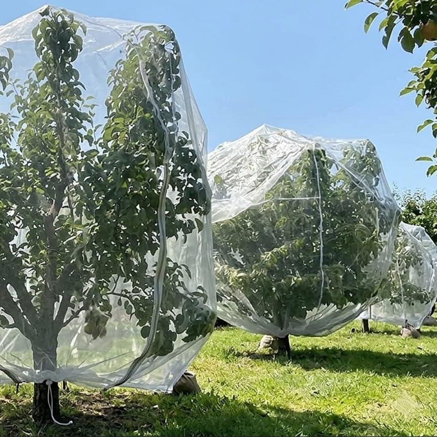 15×15ftextra large fruit tree netting with drawstring & shown in use