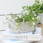 8 inch Pots Planters Indoor Plants Succulent Pots Rectangle Window Box Cactus Plant Containers for Home Decor(No Drainage)