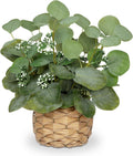 dilatata artificial eucalyptus stems in woven basket planter, main product view