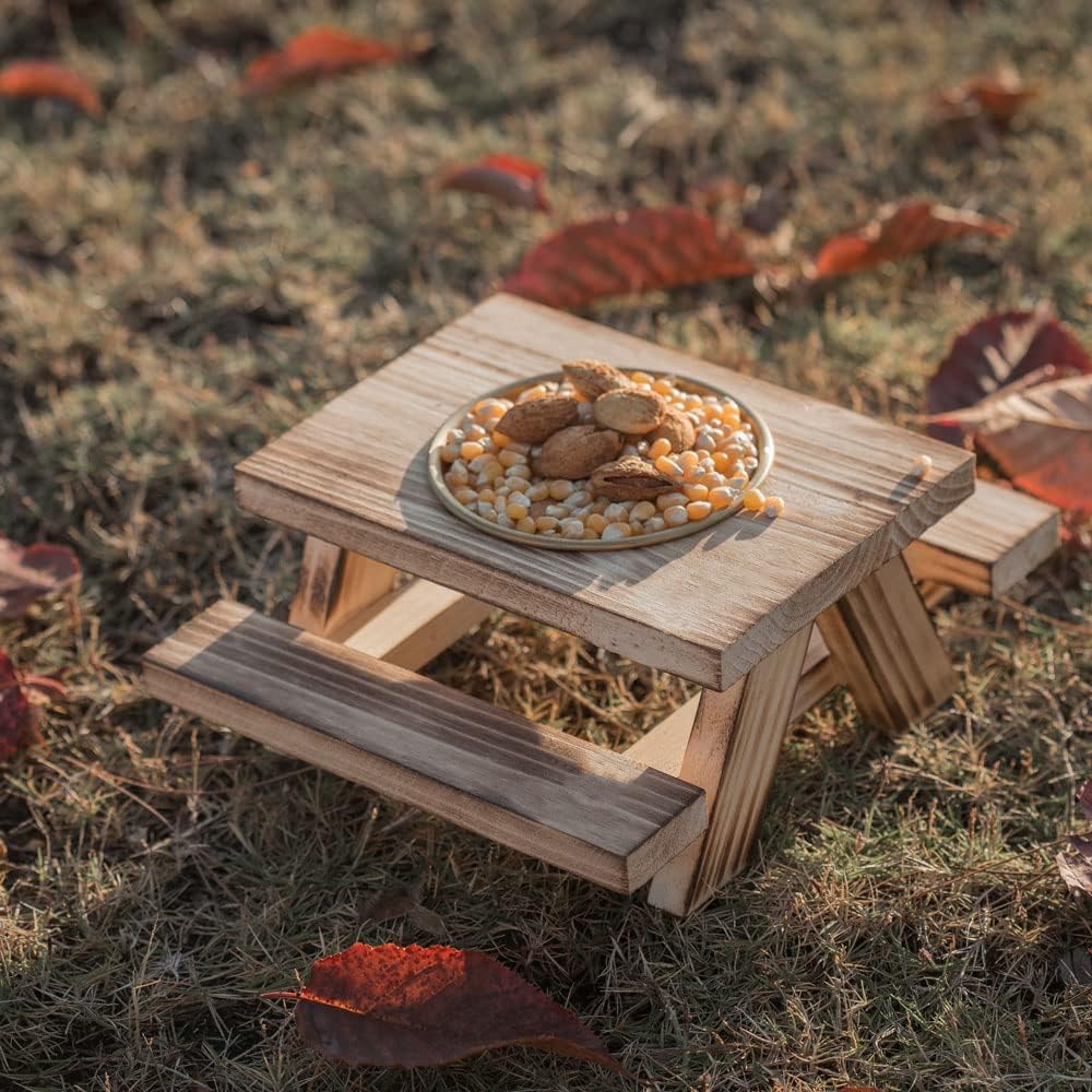 BalterFF Squirrel Feeder for Outside Picnic Table Yard Games Funny Peanuts in Shell for Squirrel Picnic Table House Bench Garden Decor Chipmunk Corn