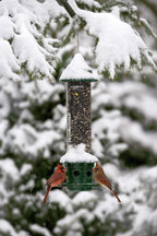 squirrel buster plus squirrel-proof bird feeder w/cardinal ring, front angle view