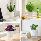 6 Pack Self Watering Plant Pots 6 Inches Self-Watering Planters for Indoor and Outdoor Plants African Violet Succulent Pots Clear Pot for Plants Large Herb Orchid Flower Houseplant Plant, White