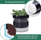 Phoenix Vine 4 Inch Self Watering Terracotta Planter, Black Terracotta Clay Pot with Glass Reservoir for Indoor Plants, Herbs, Flowers, Set of 1, 52-C-E-1