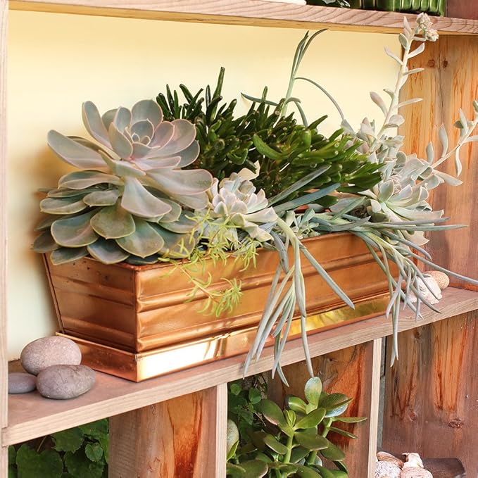 Achla Designs Copper PlatedWindow Flower Box Planter-Small (22" L x 6" W x 5" H)