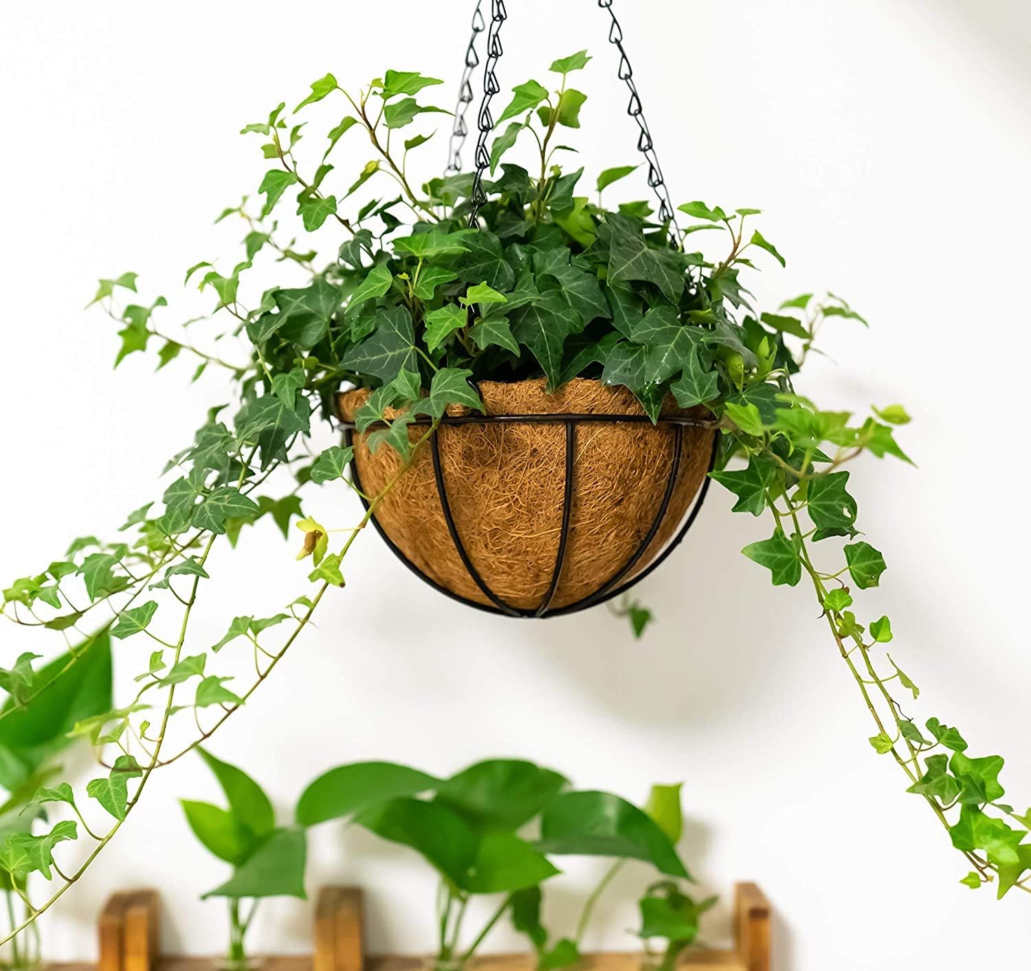 hehimhis 2PCS 20inch Coco Liner Hanging Basket Replcement, 100% Natural Round Coconut Coco Fiber Planter Basket Liners for Hanging Basket Bird Nest