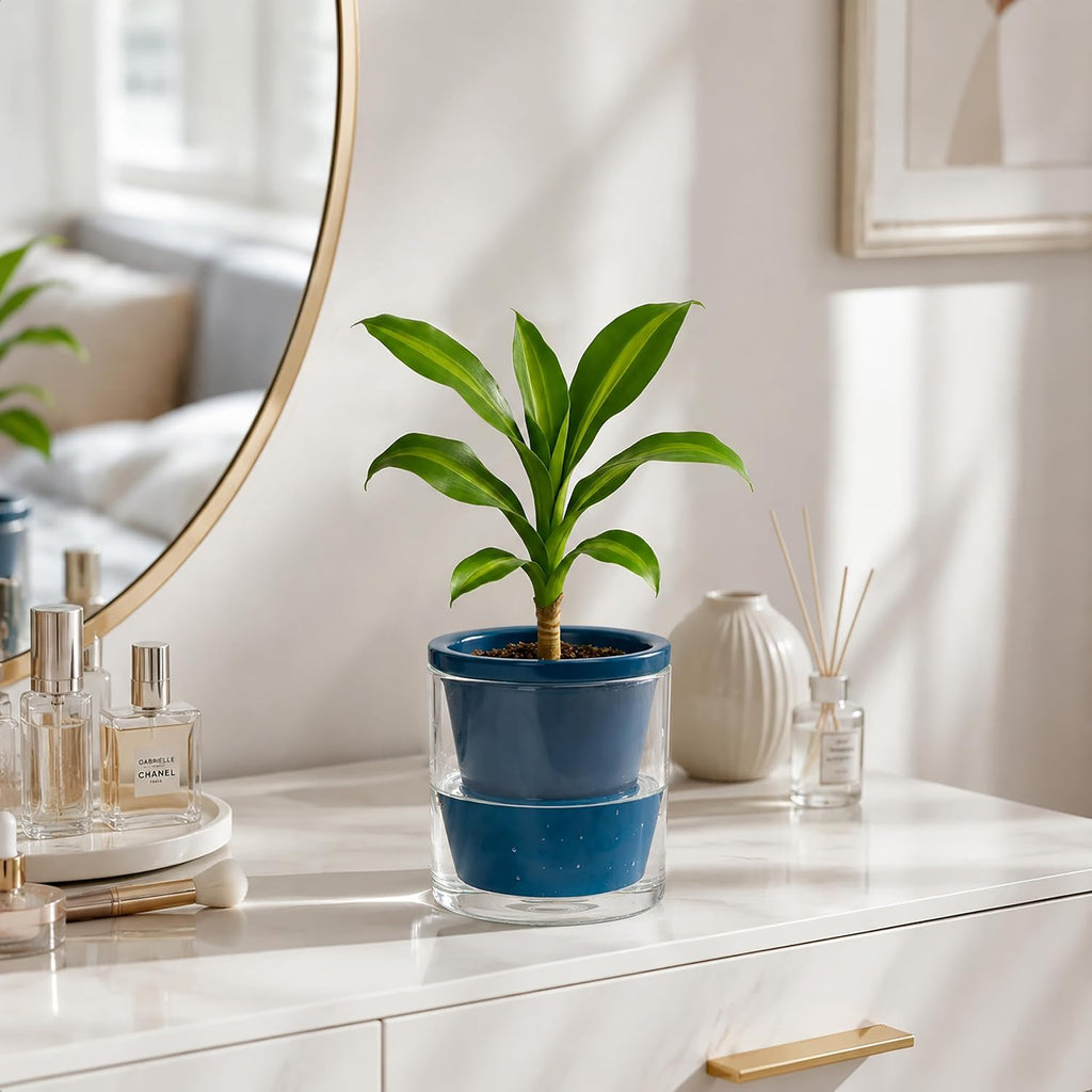d'vine dev self-watering blue terracotta planter, 4 in, close-up detail