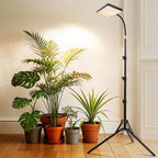 25 Watt Grow Light with Stand, Enough Bright, NO Need Adapter, 4/8/12/16/20H 5-Mode Timer, Natural Sunlight Full Spectrum Plant Growing Lamps for Tall Houseplants & Bonsai Tree