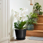 Ceramic Pots for Plants - 10 Inch Plant Pot with Drainage Hole and Tray, Large Round Planter for Indoor Outdoor, Morden Decorative Flower Pots, Living Room Decor, Gardening Gifts, Black