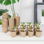 120 Packs 3.15 Inch Peat Pots,Biodegradable Pots for Seedlings with Drainage Holes, Garden Germination Nursery Pots with 100Pcs Plant Labels