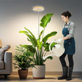 Kullsinss 6.3in Grow Lights for Indoor Plants, Full Spectrum Plant Light | Wood Grain Grow Lamp for Tall Plants, Auto Timer & Dimmable Setting, 10-60in Height Adjustable, Stylish Indoor Garden Decor