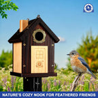 SISTERBIRD Pack of 2 Premium Bluebird Houses for Outside, All Seaons Bird Houses for Outside, Wooden Cabin Birdhouses for Outdoors, Weatherproof Courtyard Decorated Hanging Bird House