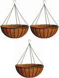 24" georgian rigid iron hanging basket (c960) with, main product view