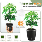 Self Watering Pots for Indoor Plants, 12-Pack 5'' Self Watering Planter with Drainage Holes, Small African Violet Pots with Water Level Indicator, Clear Wick Pot, Black