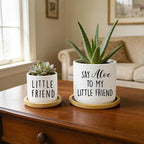 Say Aloe to My Little Friend Planter Pot, Funny Plant Pots, Aloe Plant Pot Succulent Pots with Tray Set of 2 Flower Pots Indoor Pot - Without Plants, Office Home Windowsill Gifts (No Plant)