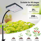 25 Watt Grow Light with Stand, Enough Bright, NO Need Adapter, 4/8/12/16/20H 5-Mode Timer, Natural Sunlight Full Spectrum Plant Growing Lamps for Tall Houseplants & Bonsai Tree
