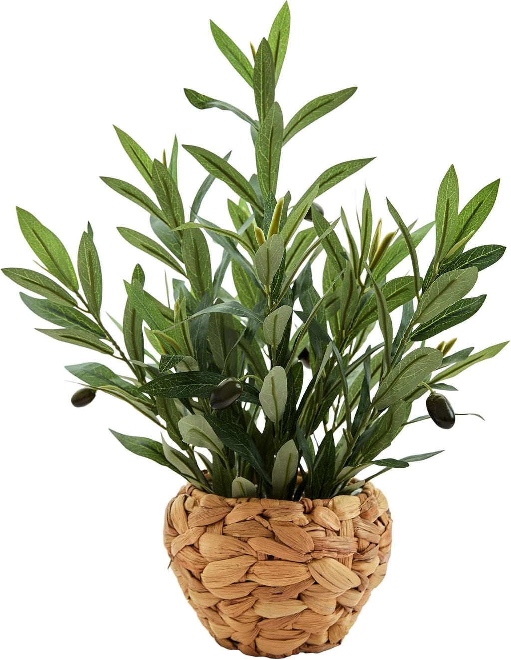 alphaacc fake potted plant small olive water hyacinth, main product view