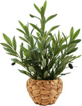 alphaacc fake potted plant small olive water hyacinth, main product view