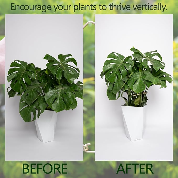 5PCS Monstera Plant Stem Support with Leaf Holders - Innovative Cactus Stake for Indoor Plants - Unique Plant Support Kit for Healthy Growth - Ideal for Gardening Enthusiasts