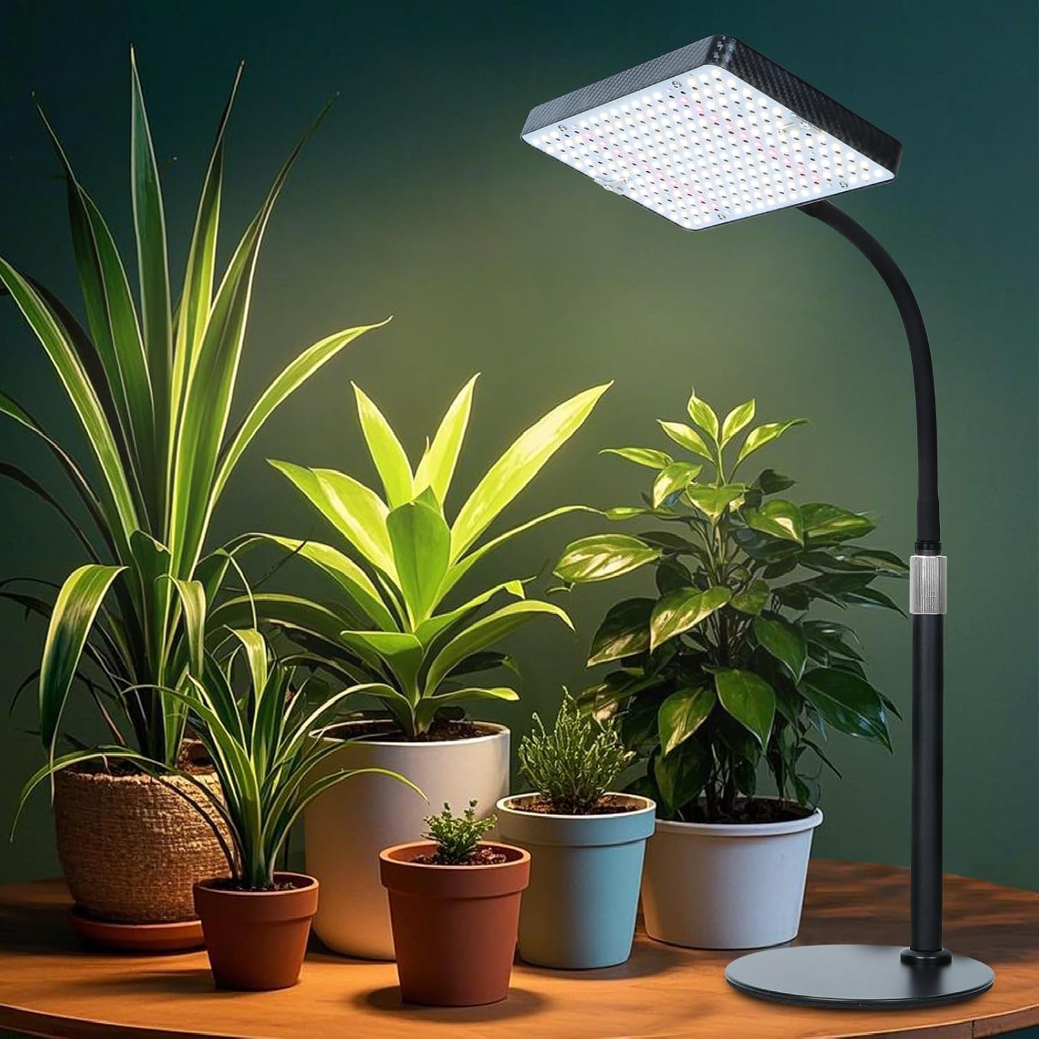 FECiDA Bonsai Grow Light, Table Grow Lights for Seed Starting, Seedlings | UV-IR Full Spectrum, 5 Modes 4/8/12/16/20 Hr Timer, 25 Watt Power Draw, 16"-24" Height Adjustable