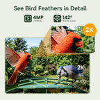 Smart Bird Feeder with Camera, 11000+ AI Bird Recognition, 2K HD Color Night Vision, IP65 Waterproof Solar Powered Bird Feeder with 142° Wide Angle, Motion Detection for Outdoor Garden, Ideal Gift