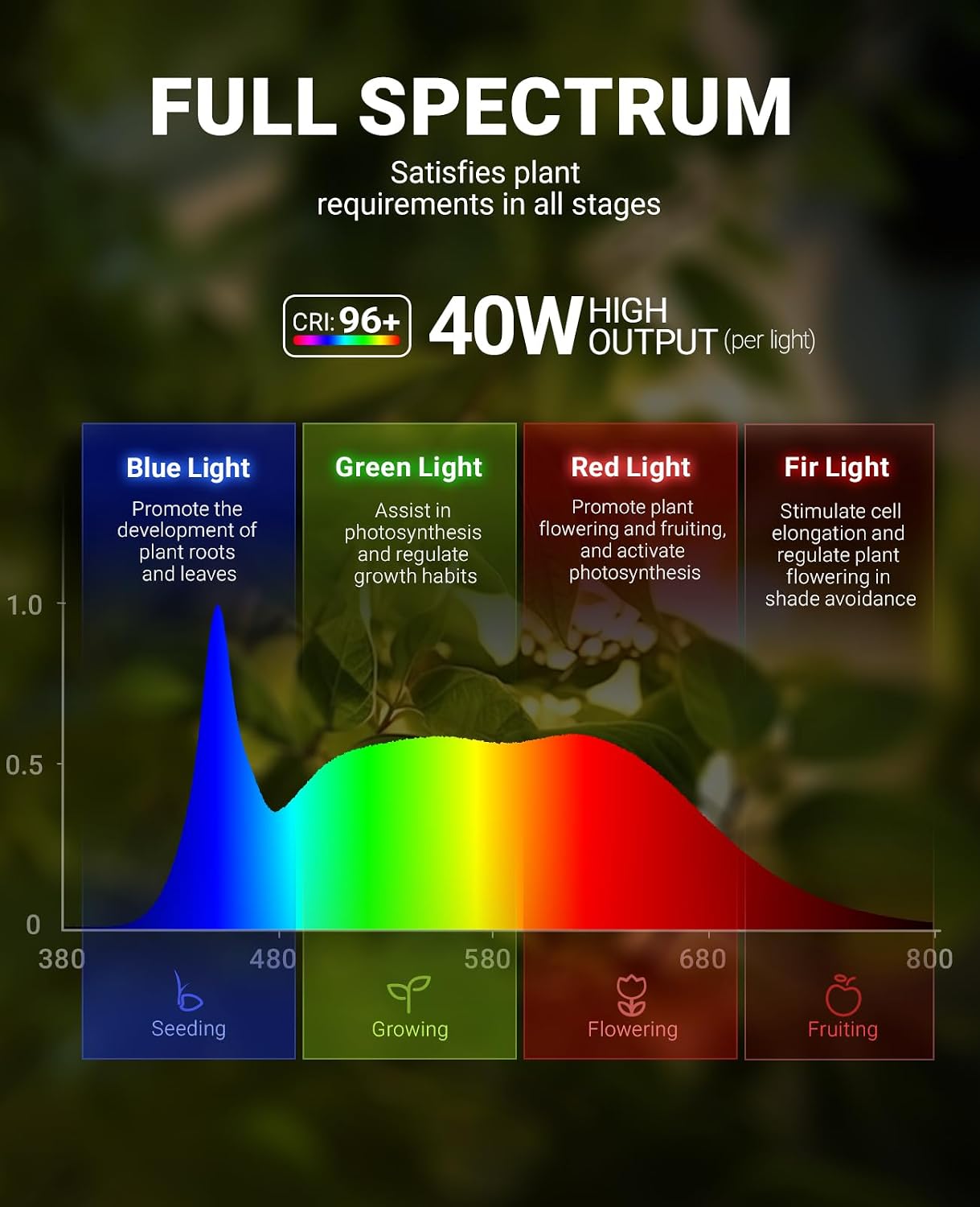 Barrina TR40A Track Grow Light, 5000K 40W, White Cover, 1-Pack | Wall Grow Bulbs for Indoor Plants, Adjustable Beam Angle (15°-60°), Full Spectrum Plant Spotlight, Timer & Long Power Cord