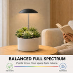 small grow lights for indoor plants, 2 pack, close-up detail