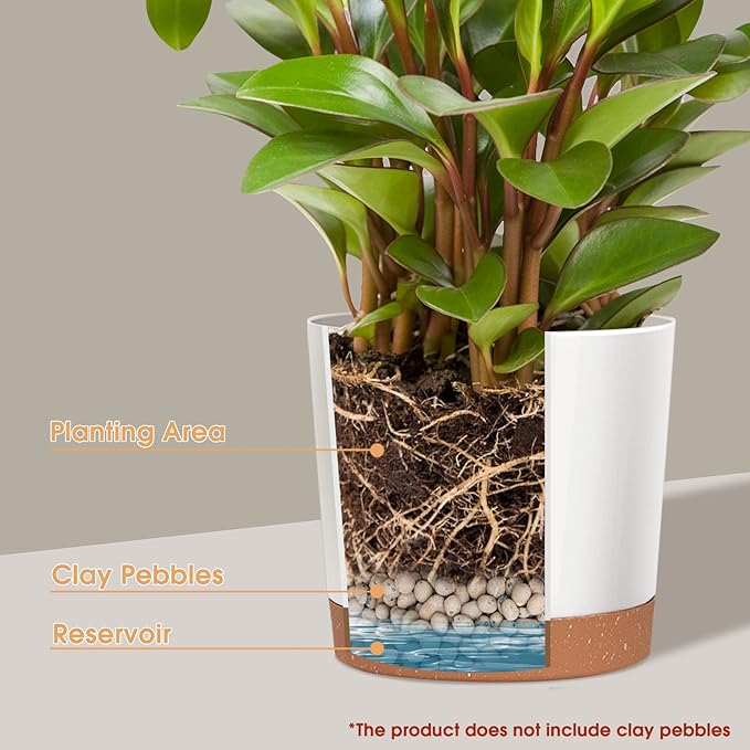 kubvici Plant Pots for Indoor Plants, 2 Pack 10 Inch Plant Pot Plastic Flower Pots Planters with Drainage Saucer for Indoor Outdoor Garden Home (10" White)