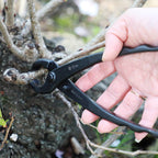 Wazakura Hand Forged Bonsai Tree Trunk Splitter, Made in Japan 210mm(8.25inch), Branch Cutter Japanese Garden Tool - 210mm(8.25inch), Black