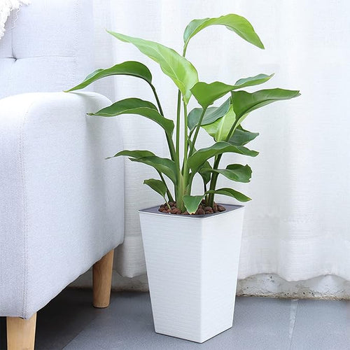 2 Pack Self Watering Planters 10.7" x 6.9" Planter for Indoor Plants White Self Watering Violet Pots Plastic Flower Pots Square Planter with 3D Wallpaper Pattern