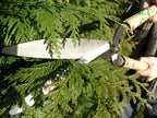 Okatsune No. 231 Trimming Shears, Type 65, Short Handle