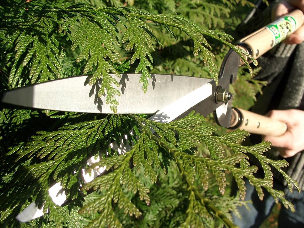 Okatsune No. 231 Trimming Shears, Type 65, Short Handle