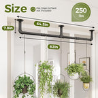 Bamworld Window Plant Hanger Indoor 63in Hanging Planters for Indoor Plants Hanging Plants Holder Hanging Rod Window Plant Shelves Wall Planters Pot/Chain/Plant Not Included(Black)