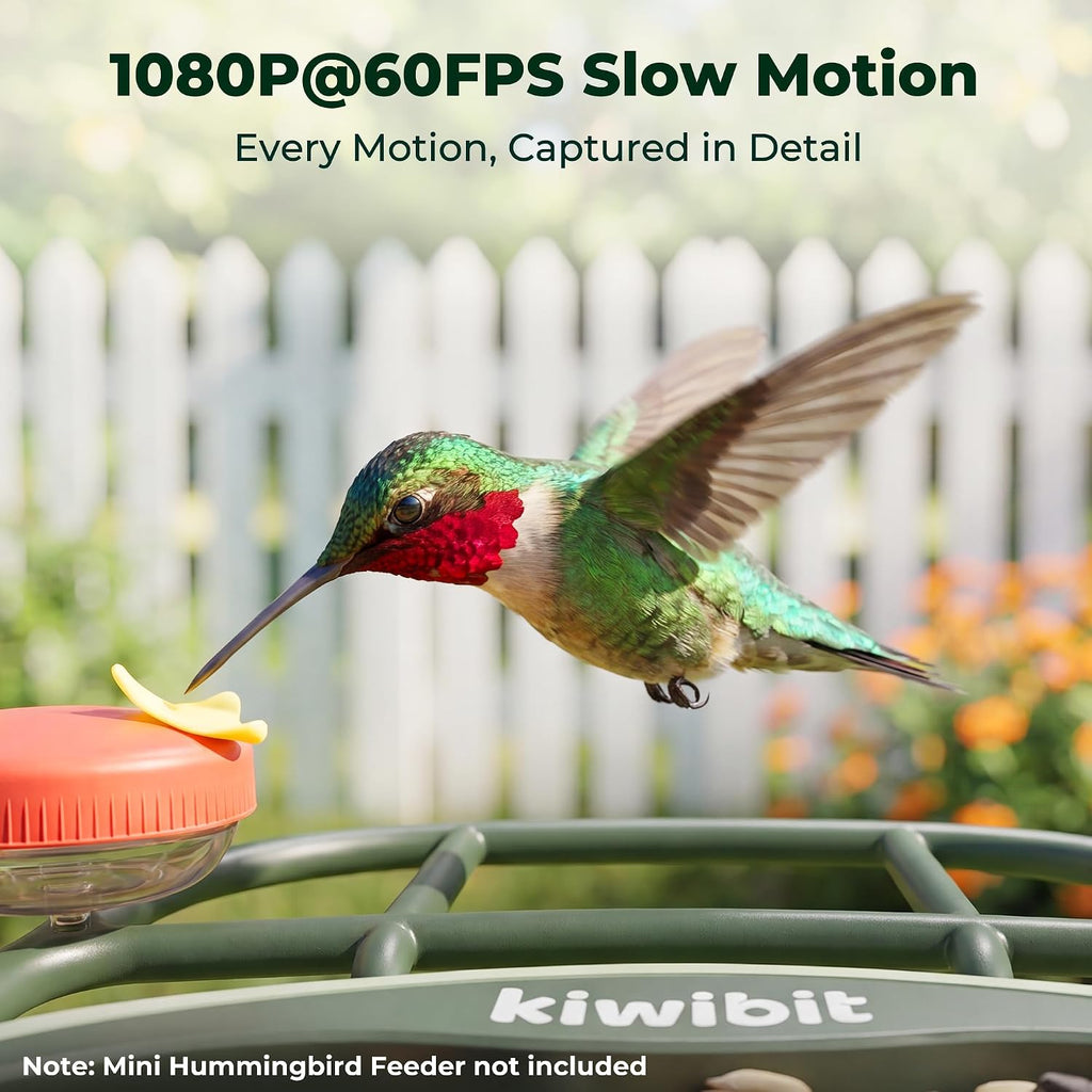 kiwibit solar powered smart bird feeder with camera, side view