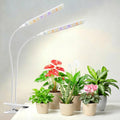 Aumtrly Plant Lights for Indoor Growing, 2 Head White Clip on Grow Lamp | 114 LED Full Spectrum, for Seed Starting, 6/12/16H Timer, 5 Dimming, 3 Light Modes, Flexible Gooseneck, Use Desk and Shelves