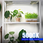 Barrina T5 Grow Lights for Indoor Plants, 5000K Full Spectrum, 1FT, 4 Packs | 1FT LED Growing Lamp, Plant Light Strip for Seed Starting, Vegetables and Greens, Plug and Play, Linkable