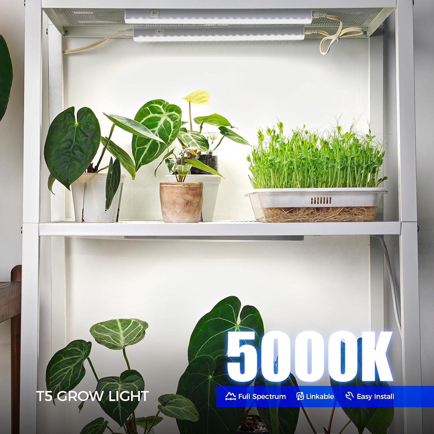 Barrina T5 Grow Lights for Indoor Plants, 5000K Full Spectrum, 1FT, 4 Packs | 1FT LED Growing Lamp, Plant Light Strip for Seed Starting, Vegetables and Greens, Plug and Play, Linkable