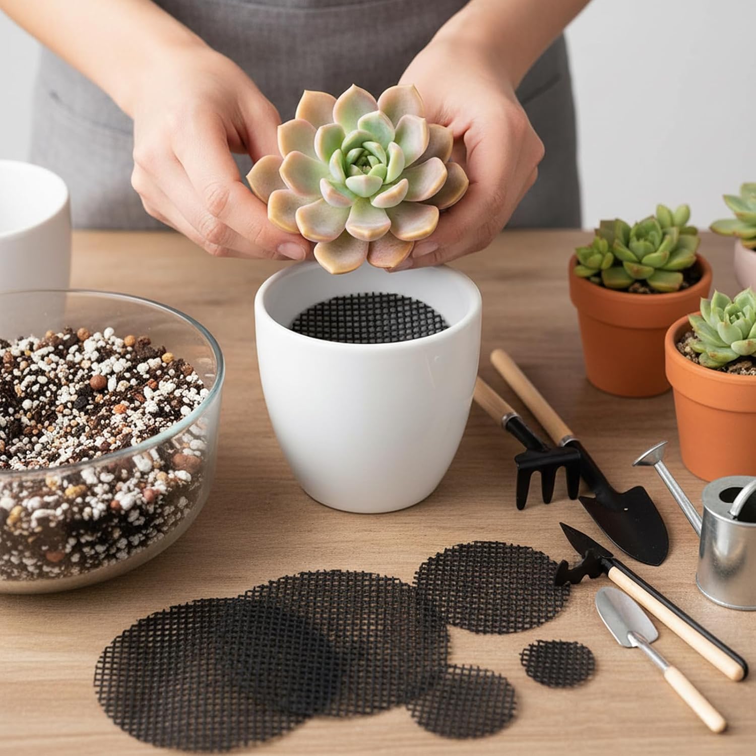 150 Mesh for Plant Plant Hole Mesh Pads Drainage Screen Plastic Round Flower Hole MeshScreen Cover Pad 2 3 4 Inch Assorted SizesMesh Preventing Soil Leakage