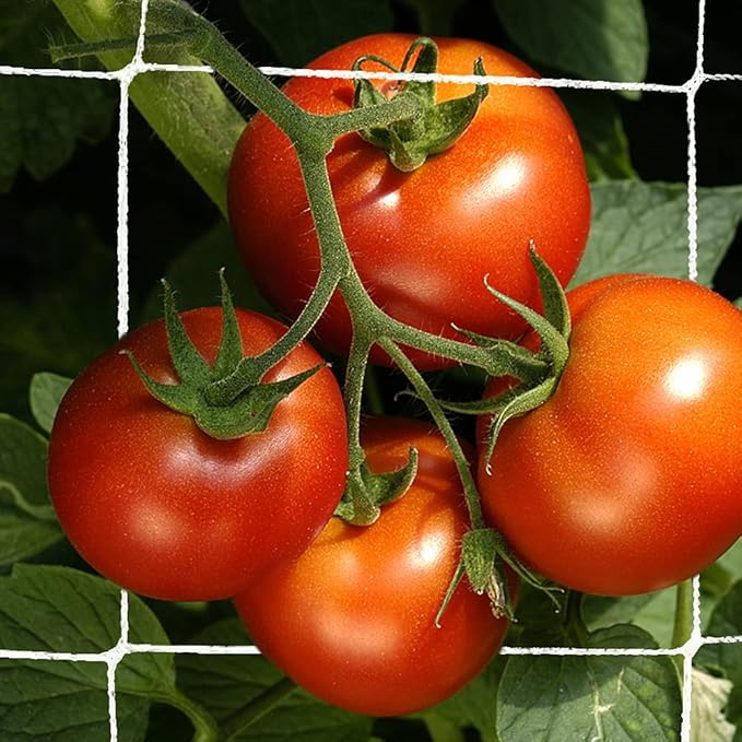 Trellis Netting, CANAGROW Heavy-Duty Garden Plant Trellis Netting for Climbing Plants, Outdoor Indoor Grow Net for Beans Tomatoes Peas Pumpkin Flowers, 6x15ft, Pack of 2