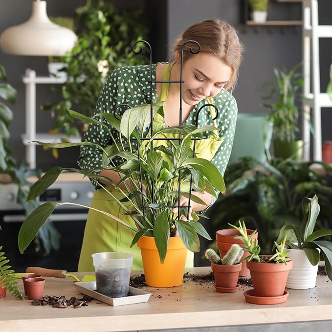 Coomin 23in Taller Plant Trellis for Climbing Plants Indoor, Sturdy Houseplant Trellis for Potted Plants with Ties, Vine Plant Support for Monstera Pothos Ivy, Plant Decor, 2P