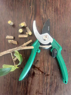 Bypass Pruning Shears, 3/8-Inch Cut Capacity Garden Clippers, Gardening Scissors with Sharp, Rust Resistant Steel Blade (Green, 3/8'')